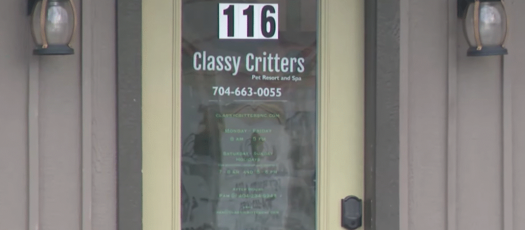Classy Critters Pet Resort Classy Critters Pet Resort